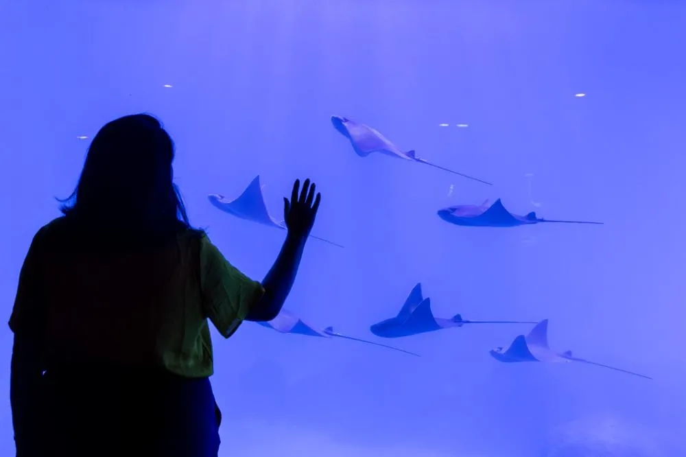 AquaFoz ultrapassa 30 mil visitantes e se consolida como novo destaque turístico de Foz do Iguaçu