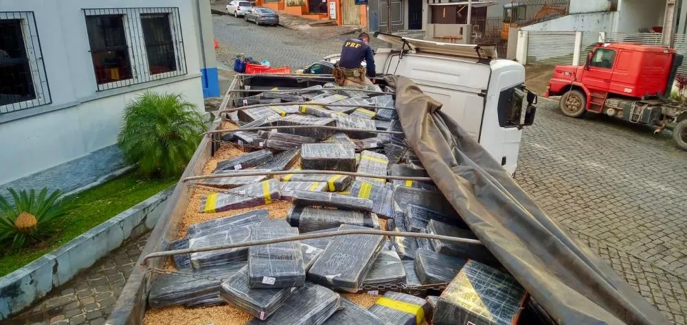 PRF apreende mais de 1,6 tonelada de maconha escondida em carga de soja na BR-277, em Irati (PR)