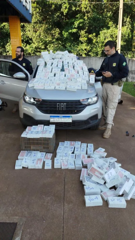 PRF apreende 350 iPhones avaliados em cerca de R$ 3 milhões escondidos em Fiat Strada na BR-369
