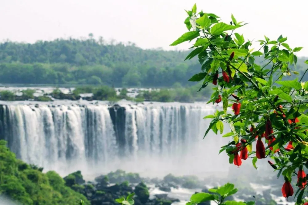 Rerquerimento do vereador Bosco questiona Governo do Paraná sobre receitas das Cataratas