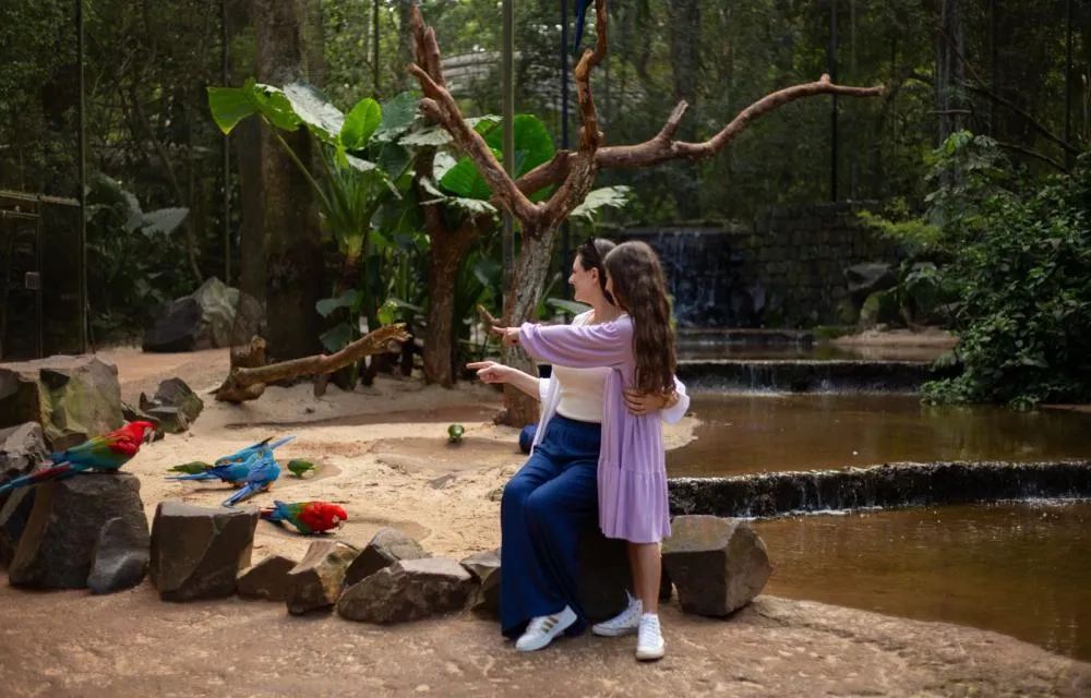 Parque das Aves mantém crescimento no primeiro trimestre e reforça papel no turismo de Foz do Iguaçu