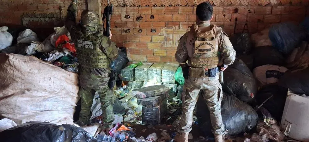 Operação das forças de segurança apreendem 800 quilos de maconha 