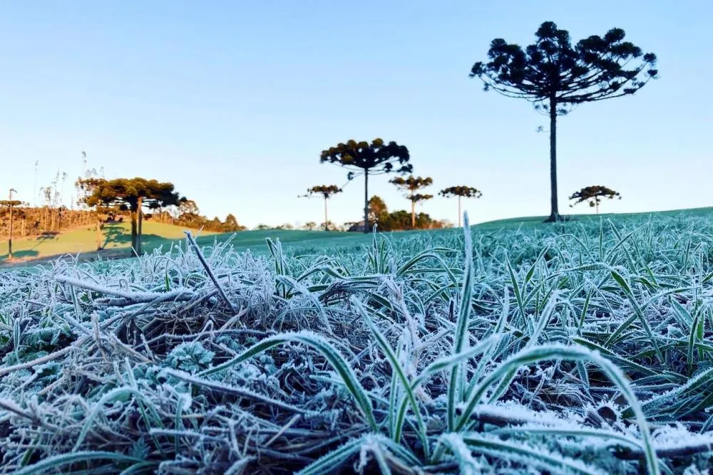 Nova frente fria mais forte se aproxima do Paraná e pode trazer as menores temperaturas do ano