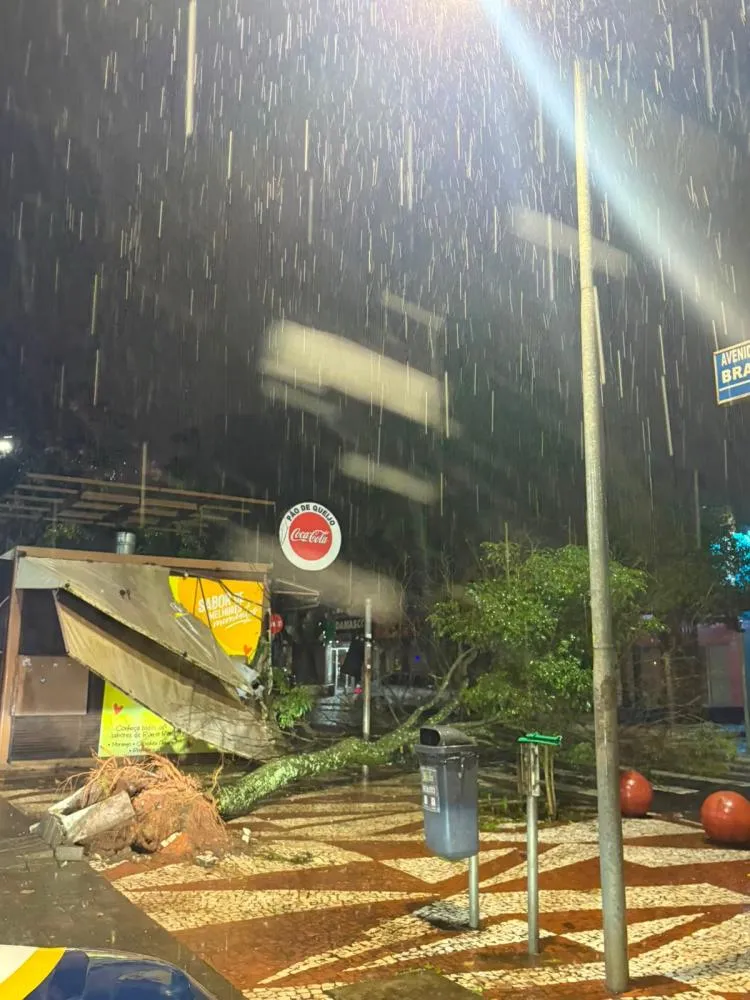 Chuva intensa, queda de arvores e alagamentos são registrados em Foz