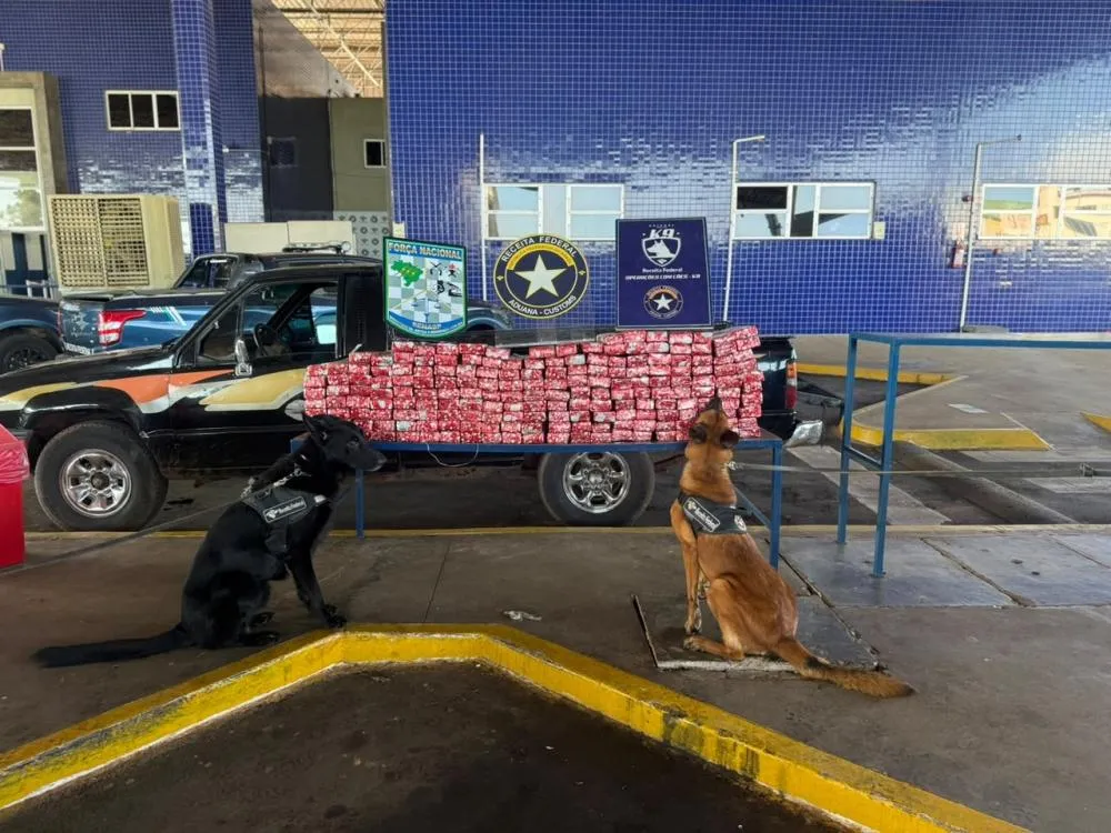 Receita Federal apreende 197 kg de maconha após veículo desobedecer ordem de parada