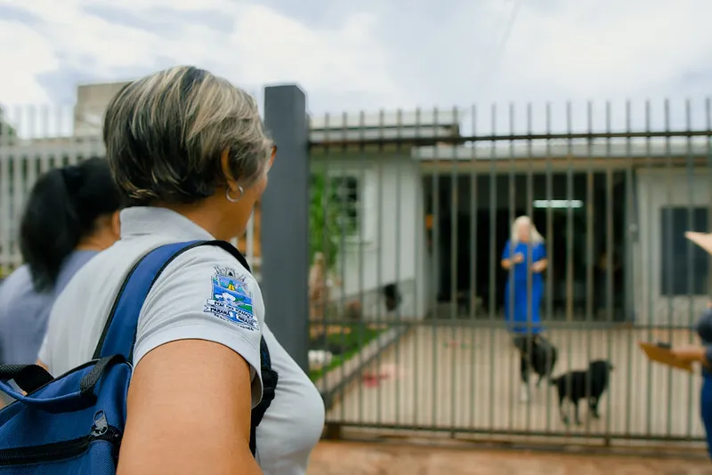 Saúde alerta para possibilidade de aumento de arboviroses com o El Niño