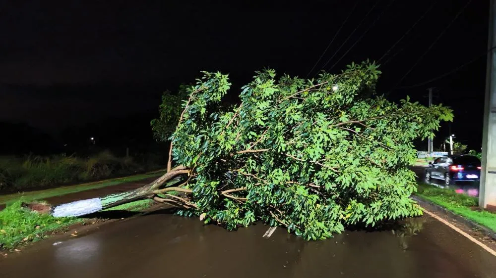 Defesa Civil em Foz está em alerta após tempestade em Foz 