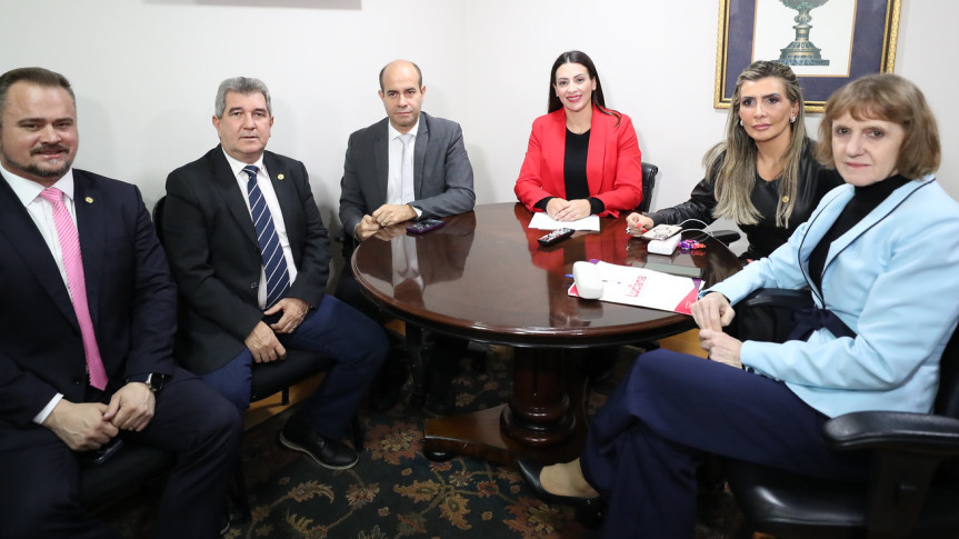 Comissão Especial é formada para finalizar o Código do Autismo do Paraná