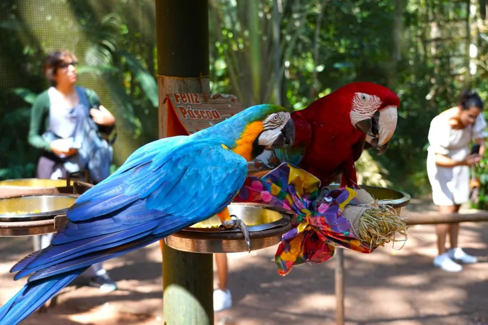 Parque das Aves espera receber 14 mil visitantes durante os feriados de Páscoa e Tiradentes
