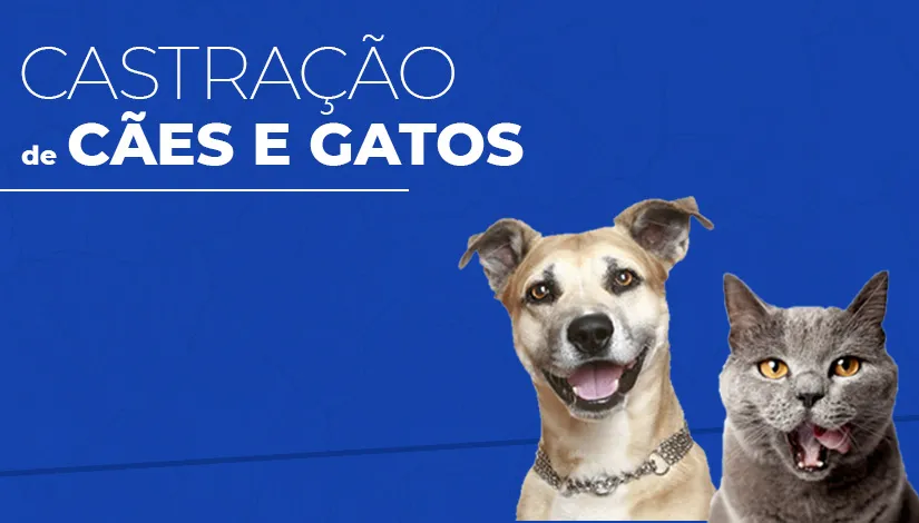 Diretoria de Bem-Estar Animal inicia 2.900 castrações de cães e gatos machos